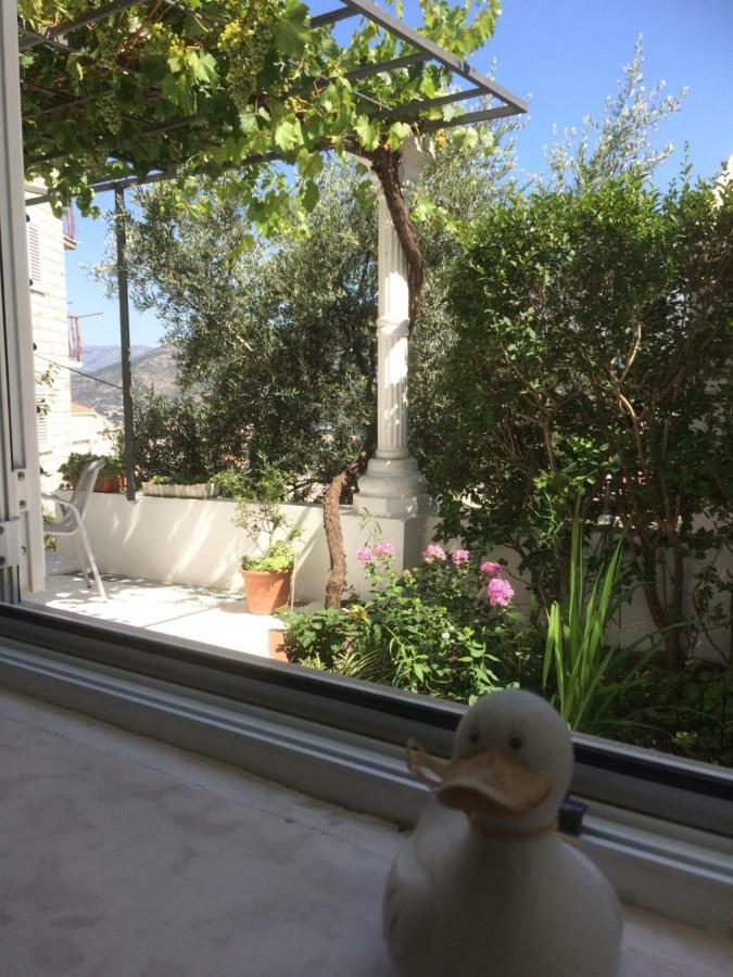 Apartman Vitis Dubrovnik Extérieur photo